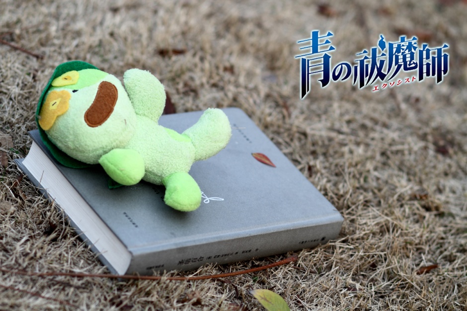 青之驱魔师cosplay写真集锦