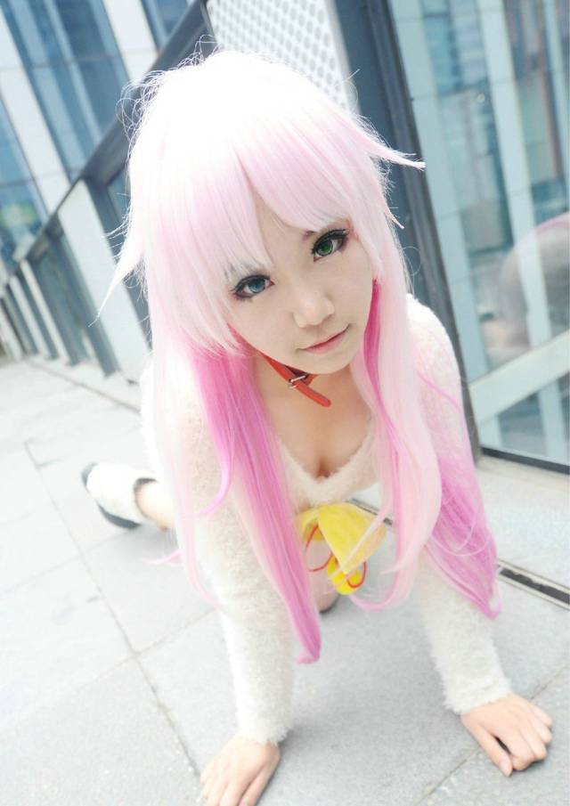 cosplay猫女可爱图片欣赏