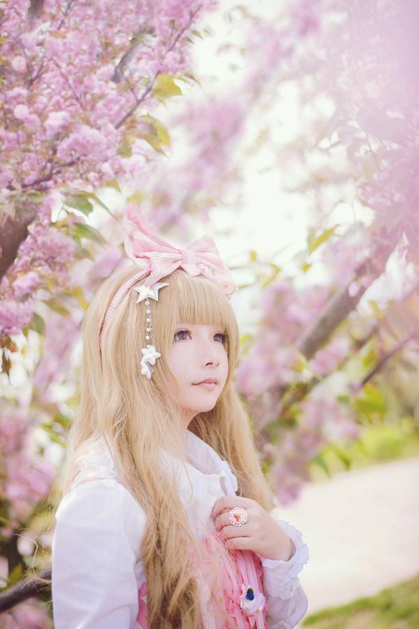 樱花初音唯美户外cos图