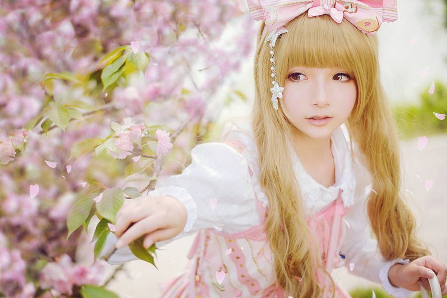 樱花初音唯美户外cos图