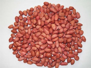 坚果系列红色的花生米