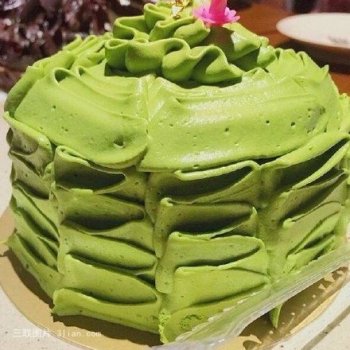 抹茶奶油蛋糕控