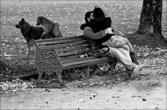 搞笑内涵图片之人狗情未了