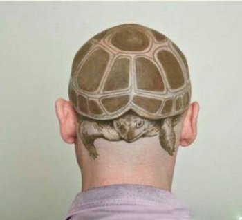 史上最雷人搞怪发型图片