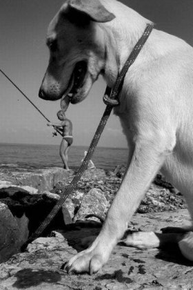 2017最新网络搞怪图片