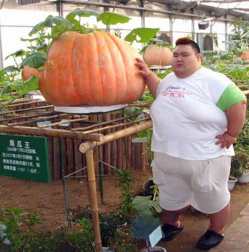 最新雷人囧图搞笑图片