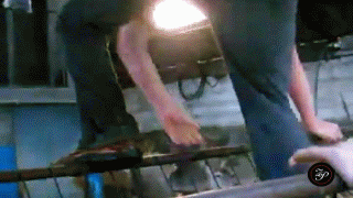 愚蠢的人类gif搞笑图片