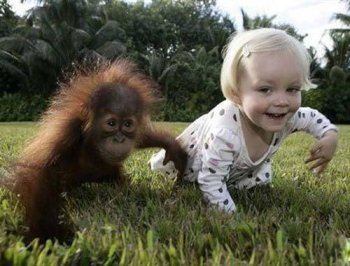 互相模仿的儿童和动物图片