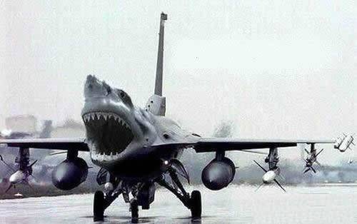 世界奇葩图片之飞机来了