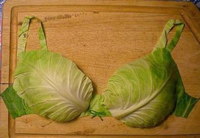 绿色环保内衣网络恶搞图片