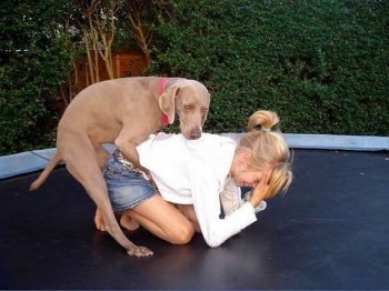 网络内涵邪恶PS图片