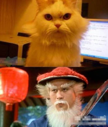 动物恶搞电影角色p图秀