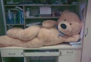 妩媚的造型qq爆笑图片