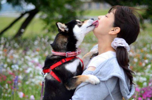 无节操邪恶图片之人狗热吻