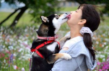 无节操邪恶图片之人狗热吻