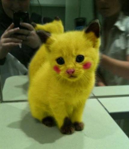 动物PS图片素材之皮卡丘