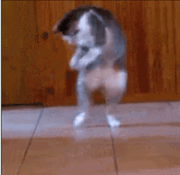 搞笑 gif之有趣的旁白