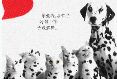 可爱奇葩图片之冷静一下