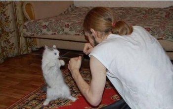 比划比划qq爆笑图片