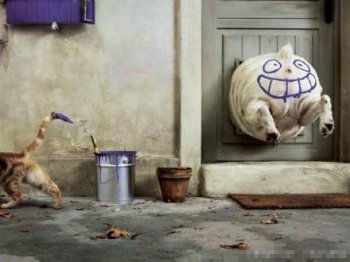 小肥猪遇到糗事图片