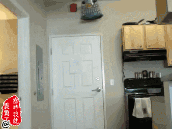 成人超级恶搞gif动态图