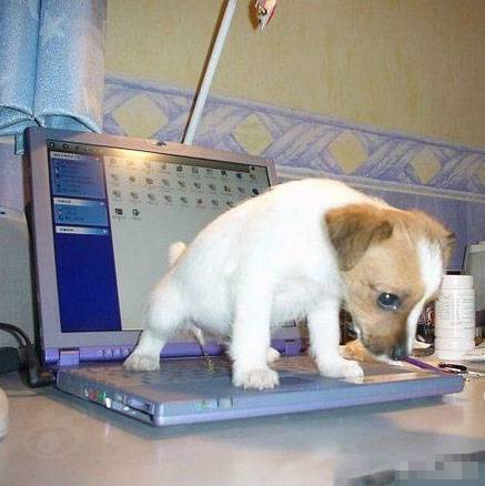 最糗事图片之悲剧了