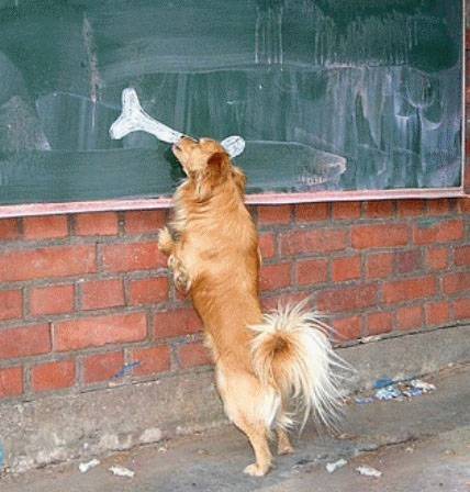 小狗搞笑图之画骨头充饥