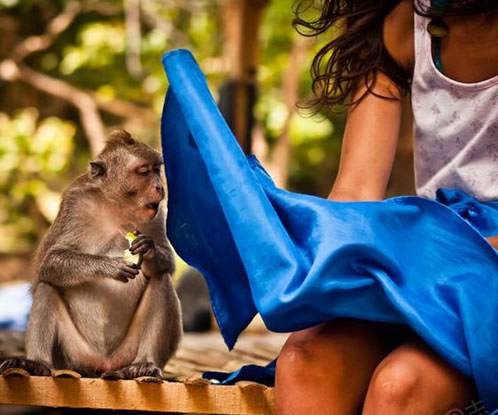 动物搞笑图片之连你也学坏了