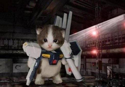 攻打地球的喵星人搞笑图片