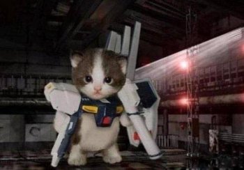 攻打地球的喵星人搞笑图片