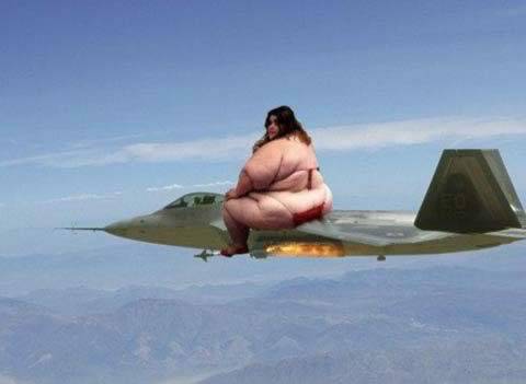 最奇葩的搞笑图片之丰满的空姐