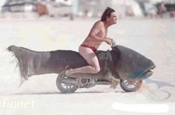 火爆男屌丝图片之悍马啊