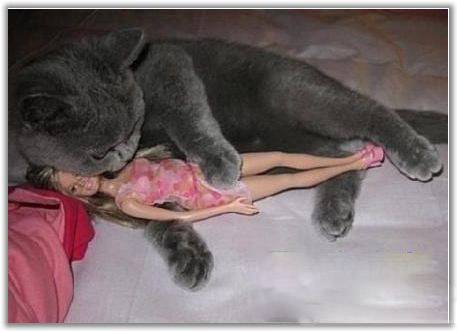 超爆笑内涵图片之抱美人