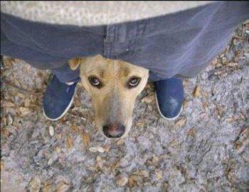 邪恶内涵搞笑图片之抢风头