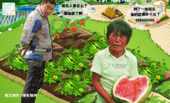 疯狂的偷菜生活qq爆笑囧图