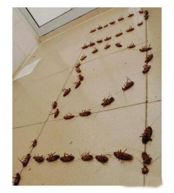 最糗事图片之表白失败