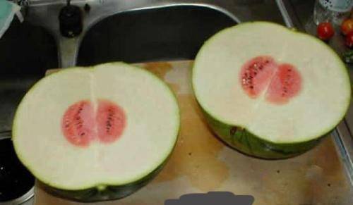 内涵爆笑囧图之出轨的西瓜