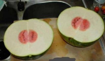 内涵爆笑囧图之出轨的西瓜