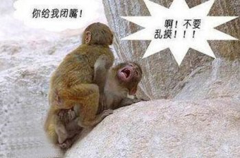 超邪恶内涵图之激情的猴子