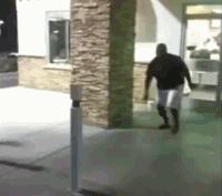 搞笑图片笑死人动物动态素材