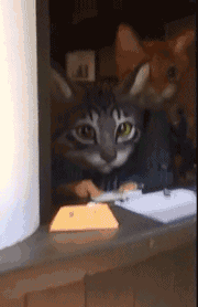 搞笑图片动态之景区惊吓