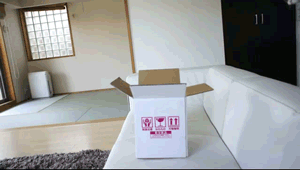 糗事gif之笨拙的猫咪