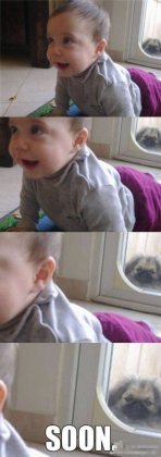 搞笑的亮点图片之躲猫猫