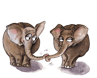 动态图片搞笑接吻大象赏析