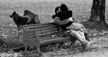 找亮点的邪恶内涵图片