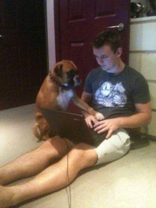 爆笑囧图片之不要玩电脑了