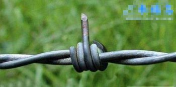 qq爆笑铁丝图片