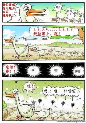 搞笑内涵鸭子跑步图片