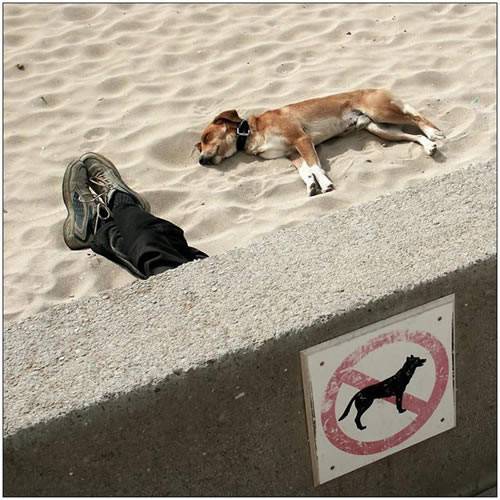 搞笑亮点图片之闲人免进