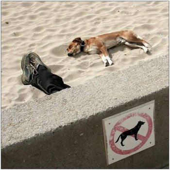 搞笑亮点图片之闲人免进